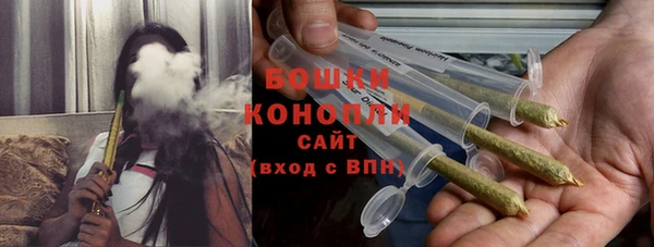стаф Богородск