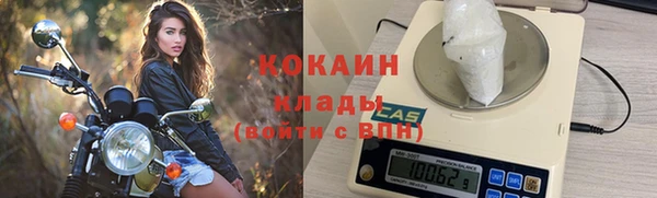 стаф Богородск