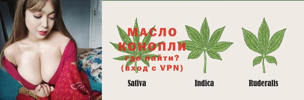 стаф Богородск