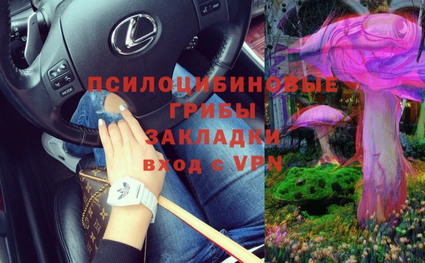 прущие грибы Богородицк