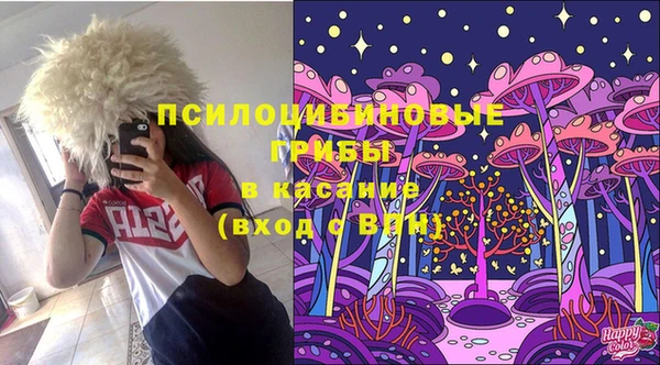 прущие грибы Богородицк