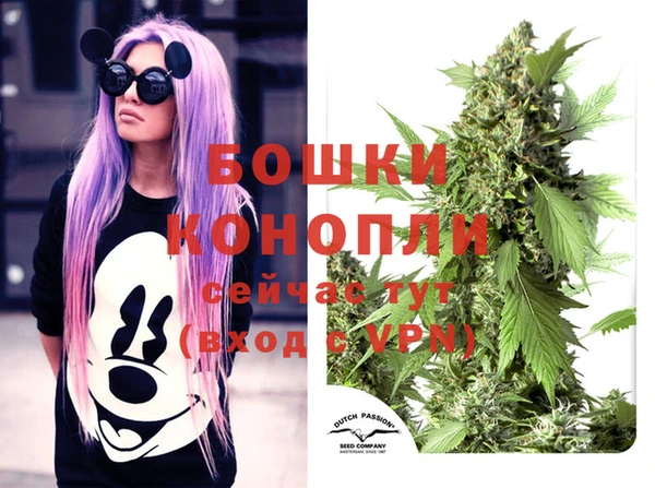 прущие грибы Богородицк