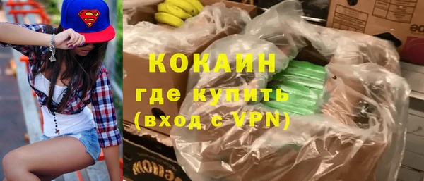 прущие грибы Богородицк