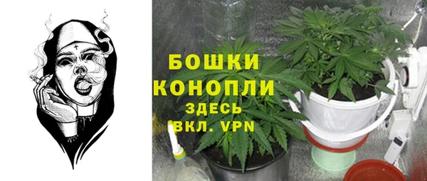 стаф Богородск