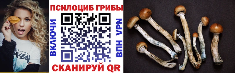 Купить закладки  Фролово  Псилоцибиновые грибы прущие грибы 